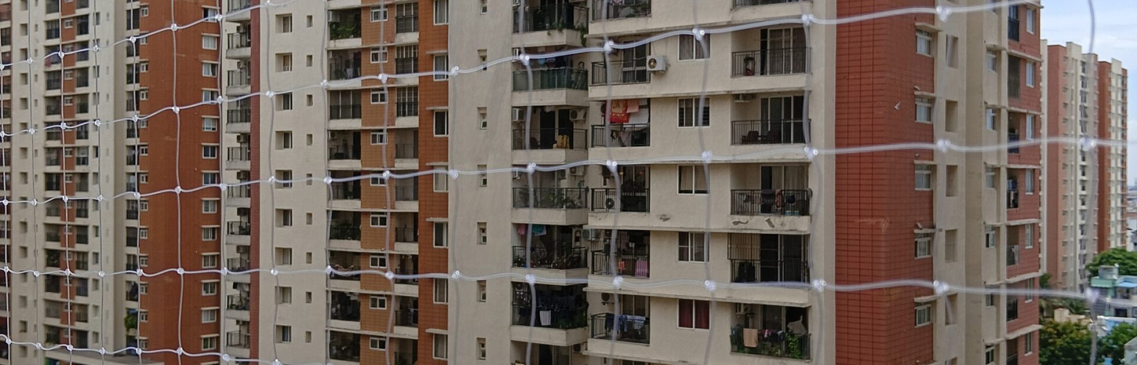 IMG20240624121814-scaled