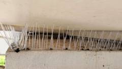Invisible Bird Spikes Installation in Chennai