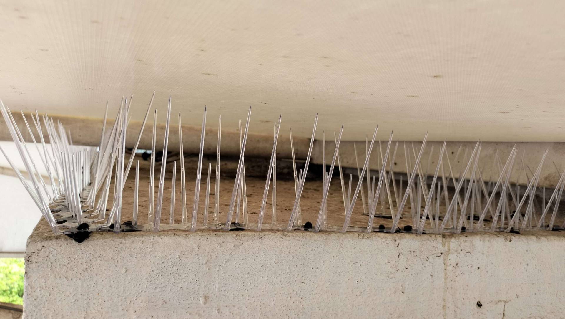 Invisible bird spikes installed on a building ledge in Chennai to prevent pigeons from landing.